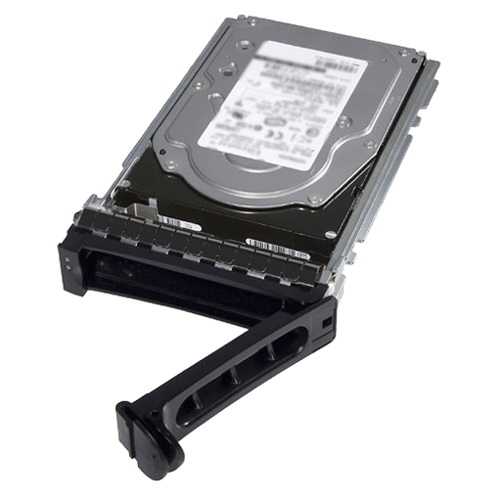 DELL 480GB LFF (2.5&Prime; in 3.5&Prime; carrier) SATA SSD Read Intensive Hot Plug for G13 servers